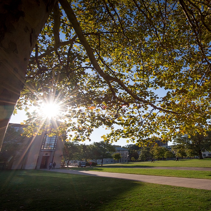CMU campus photo with sun.