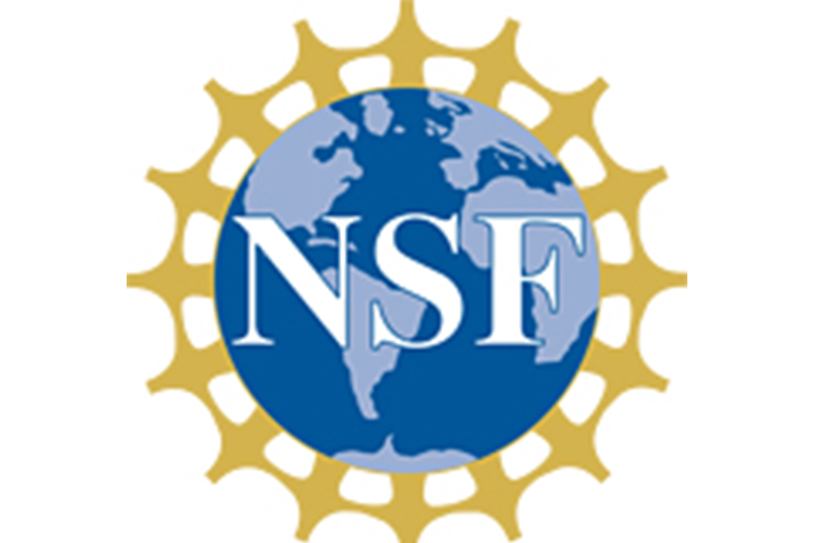 nsf logo