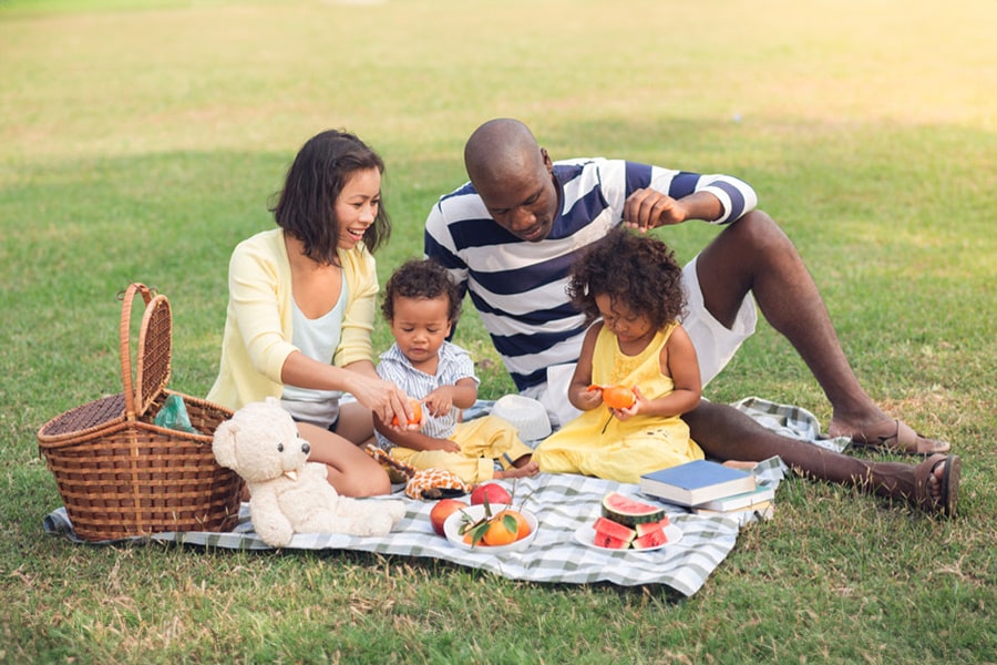 a family picnic in the grass