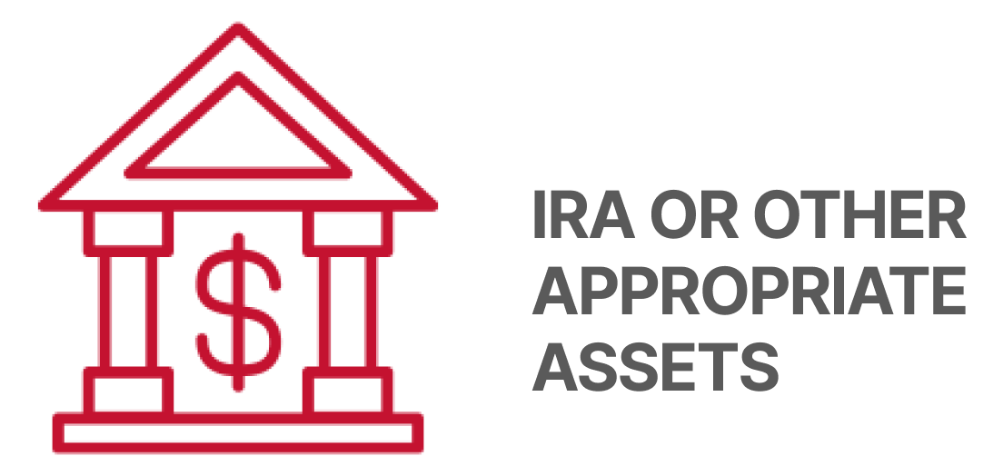 IRA or other appropriate assets