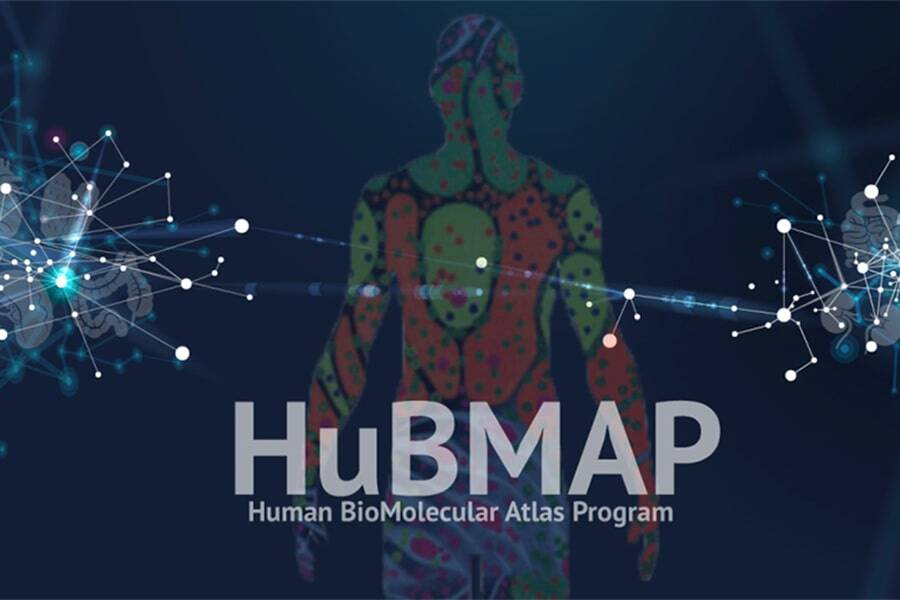 HuBMAP