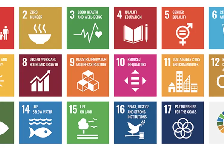 The 17 UN sustainable development goals.