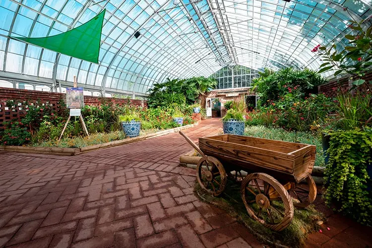 monet-phipps-show-gallery-900x600-min.jpg