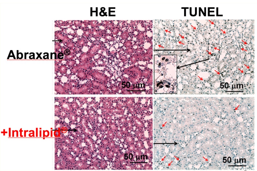 Image of test results