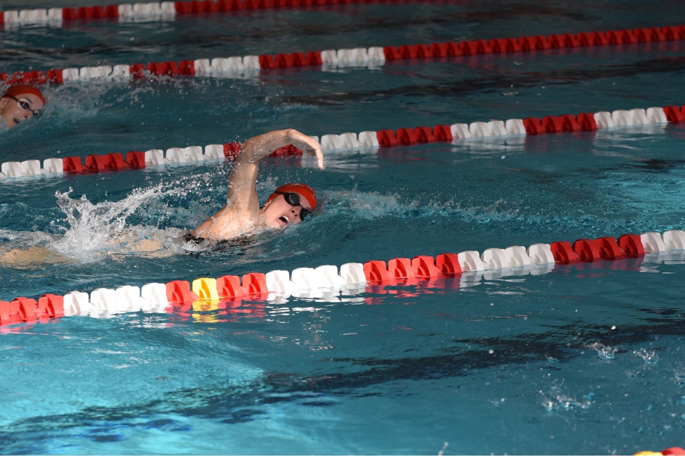 ruby-redlich-swimming.jpg