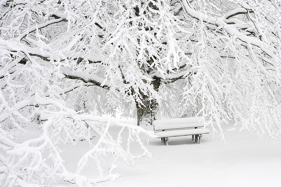 Snow covered bench