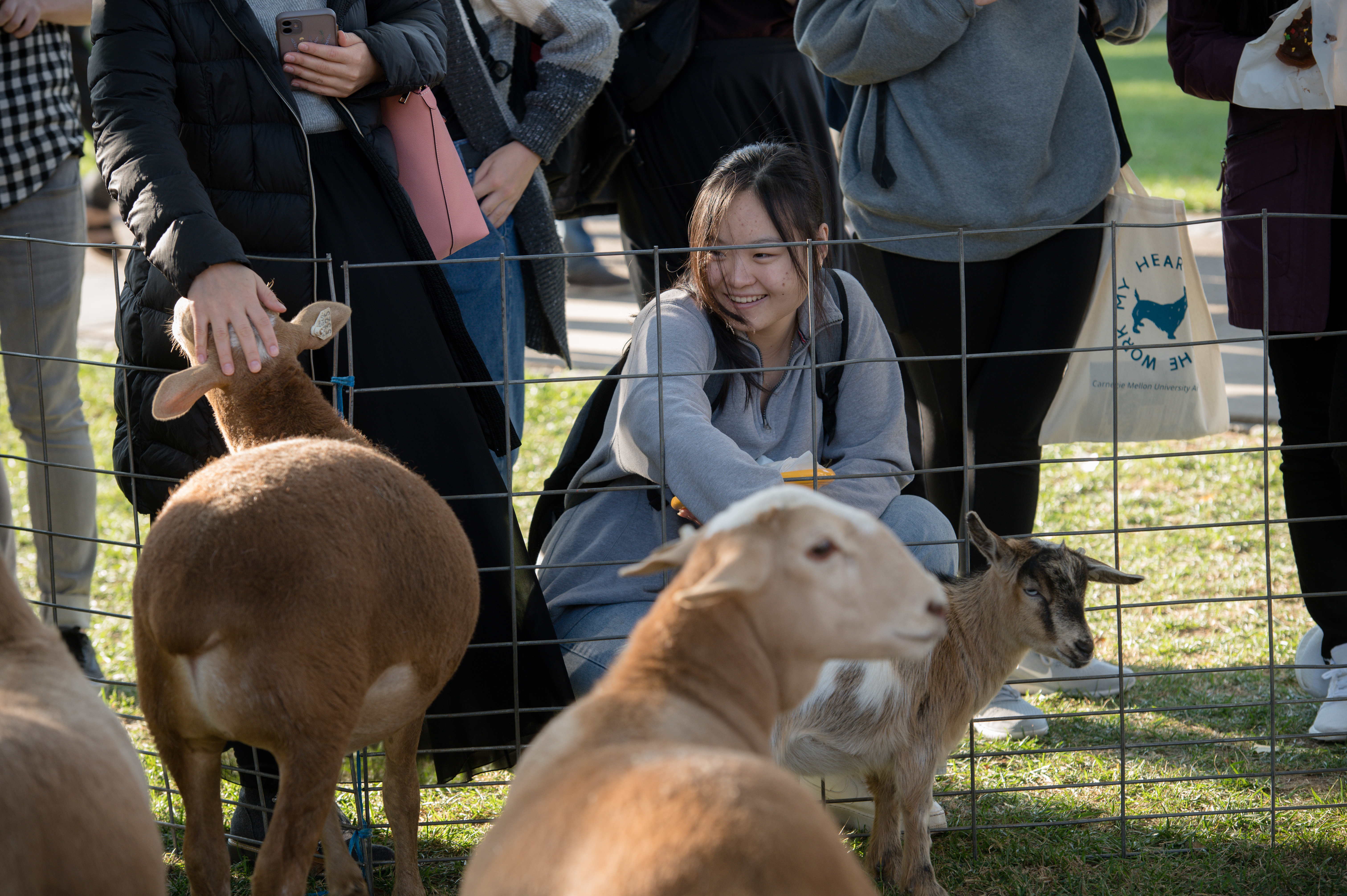 photo of CMU student and guests at a petting zoo