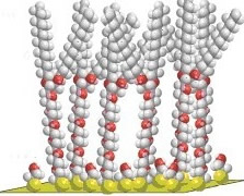 tethered membrane