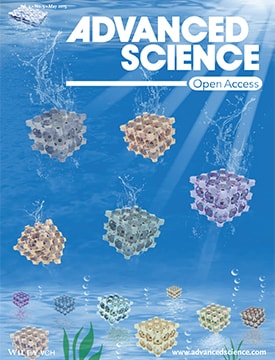 cover of journal Advanced Science featuring work of Kris Matyjaszewski