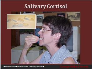 salivary-cortisol