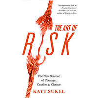 The Art of Taking Risks book cover