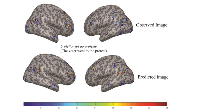 image compares the neural activation patterns between images from the participants’ brains when reading O eleitor foi ao protesto (observed) and the computational model’s prediction for The voter went to the protest (predicted).