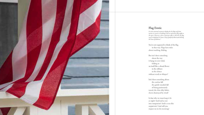 The American Flag in Photography and Poetry