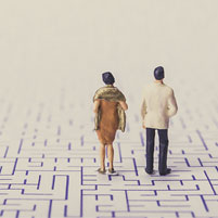 Understanding Decisions