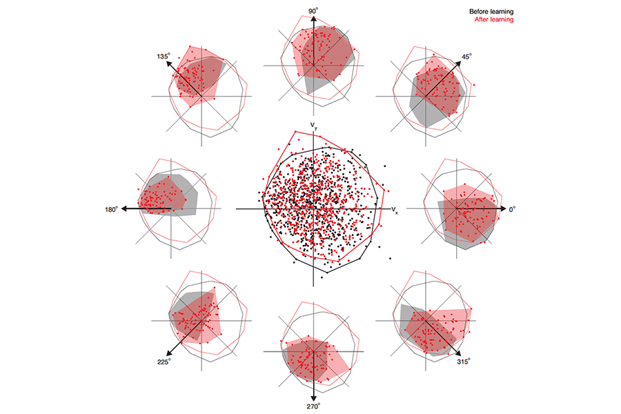 Visualization of population activity patterns from an example experiment.