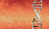 Double Helix Double Helix