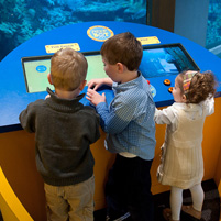 Children exploring the Reefbot exhibit