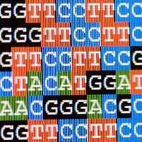 Genetics and Autism