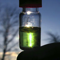 Vial of Chemicals