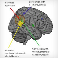 The Injured Brain