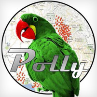 Polly Wants … to Give Information