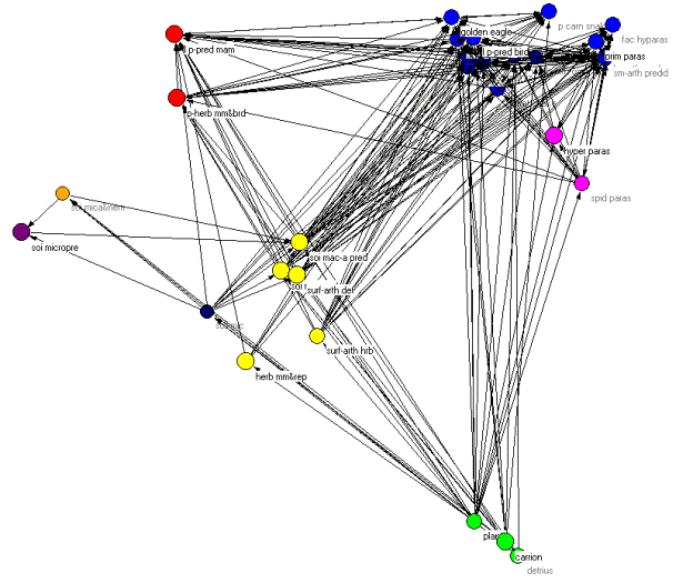 of the regular role coloration of the Coachella Valley desert food web.