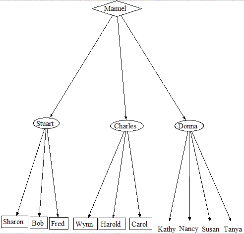 View of the formal network