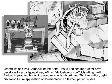 Illustration of bone growing process at BTEC