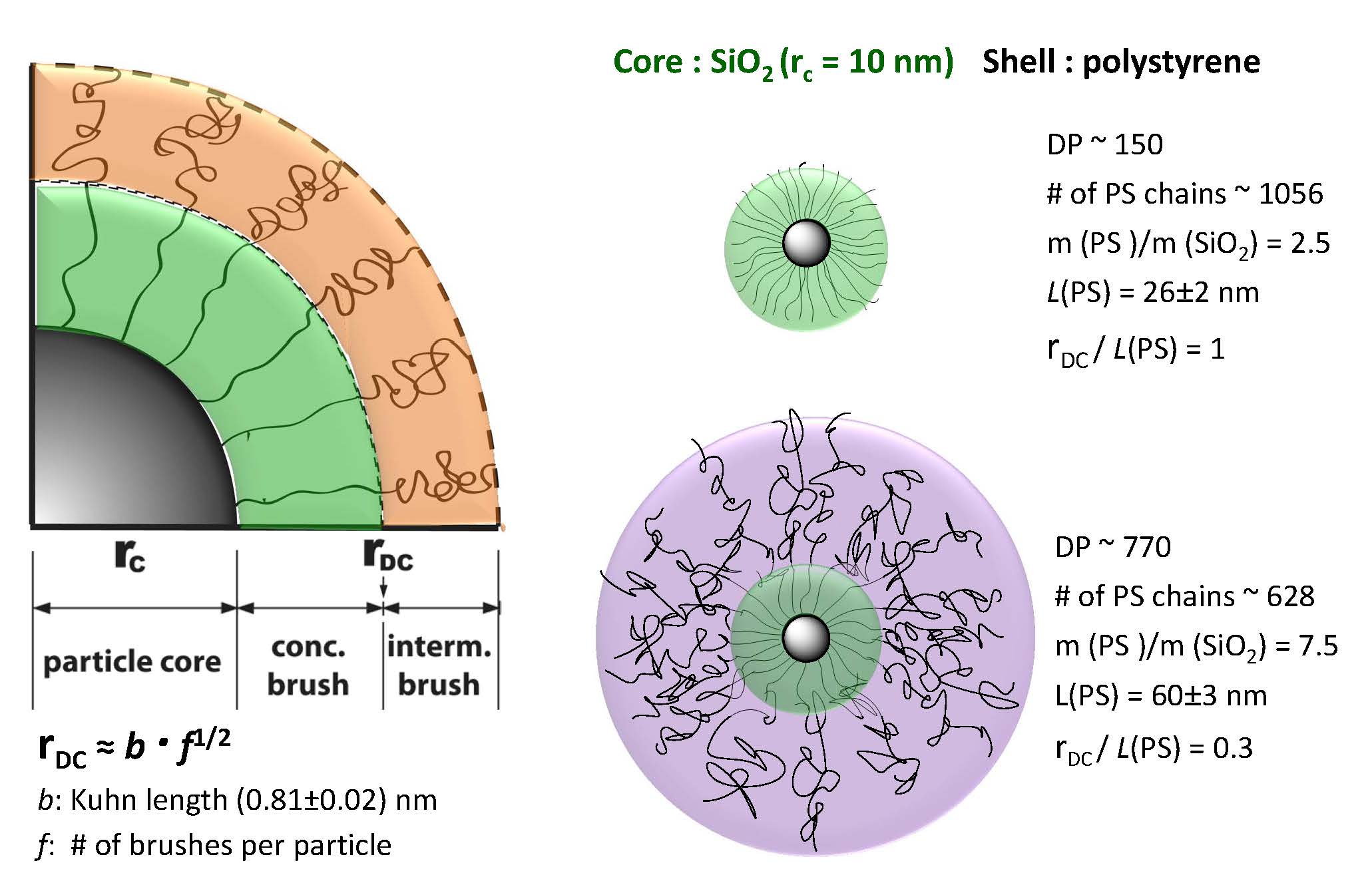 11j core shell