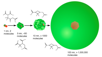 Oxidized organic molecules (green) and sulfuric acid (red) cluster together, eventually forming a particle (right) that is capable of nucleating cloud droplets.
