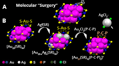 Schematic of molecular surgery on a 23-atom gold nanoparticle.
