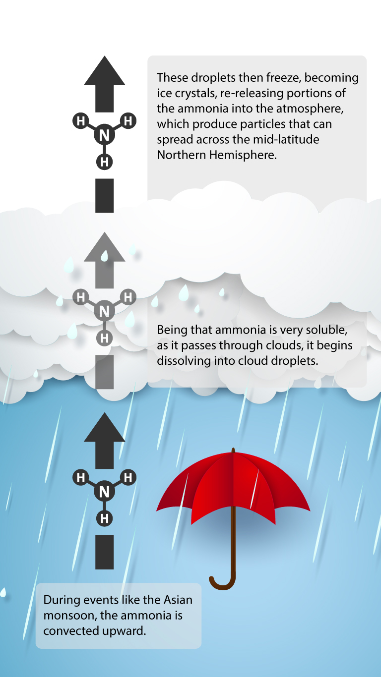 0518-nature-ammonia-convection-infographic.jpg