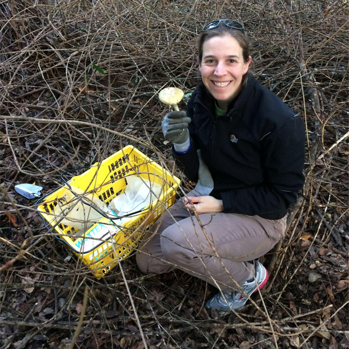 Candace forages for Amanita mushrooms