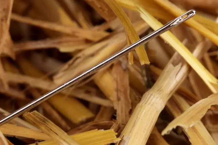 A needle in a haystack