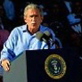 bush book