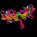 Kinesin