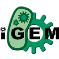 iGEM