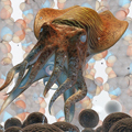 cuttlefish