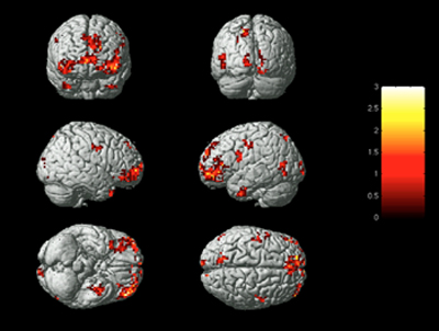 BrainActivityOnEmotions