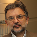 Radu Marculescu