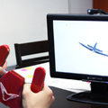 Flight Simulation Game