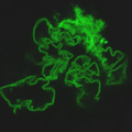 Nanofibers