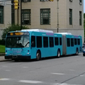 Bus Line Photo