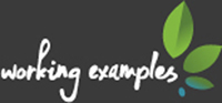 Working Examples logo