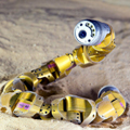 SnakeBot and Sand