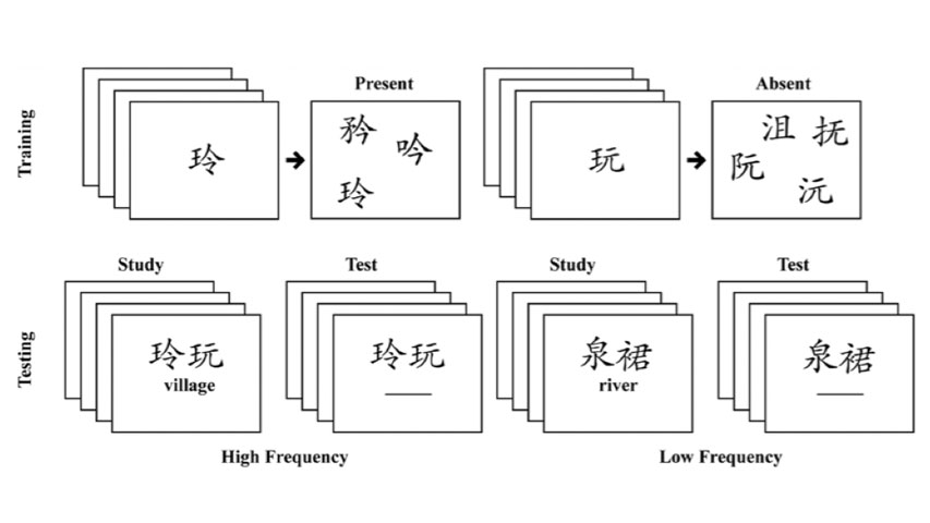 memory and learning