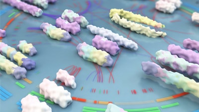 cell systems