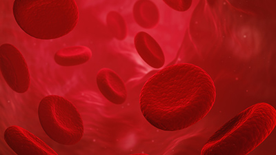 Red blood cells