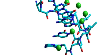 Gene Editing Molecule
