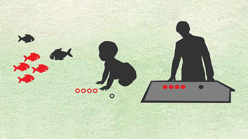 Image of baby, fish and adult